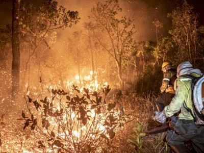 Monitoramento mostra que 99% dos incêndios são por ação humana