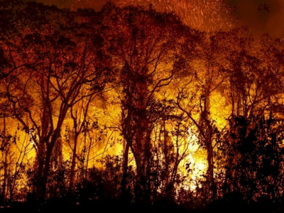 PF investiga incêndios criminosos no Pantanal