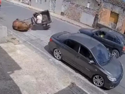 Cavalo usado para puxar carroça cai devido ao excesso de peso