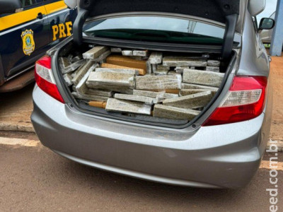 Homem é preso com 936 Kg de maconha