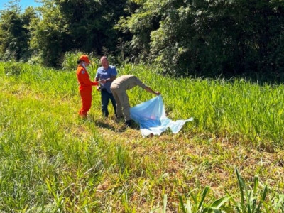 Mulher é encontrada morta às margens da BR-376, em Ivinhema