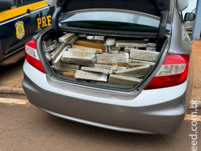 PRF apreende 936 Kg de maconha em Caarapó