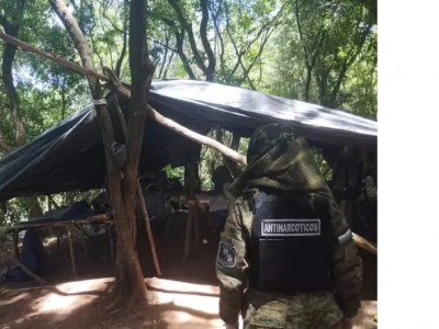 Operação fecha base do tráfico com 12 hectares de maconha