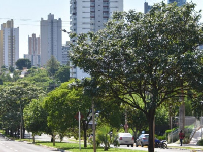 Pagamento à vista do IPTU terá 20% de desconto até sexta (10)