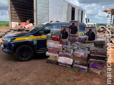 PRF apreende 5,9 toneladas de maconha em Ponta Porã (MS)