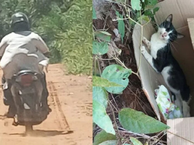 Homem é flagrado abandonando gato machucado em Aquidauana