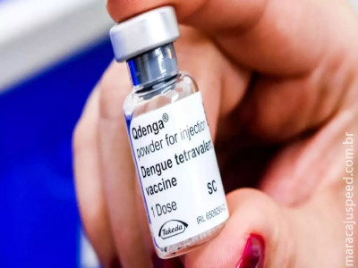 MS já aplicou mais de 146 mil doses de vacina contra dengue