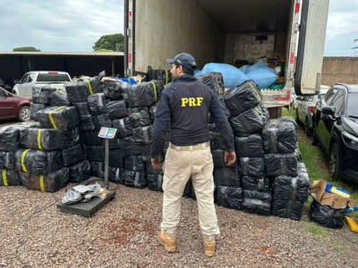 Polícia apreende 2,6 toneladas de maconha e munições na BR-163