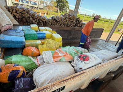 Polícia incinera mais de 1,7 tonelada de drogas em MS