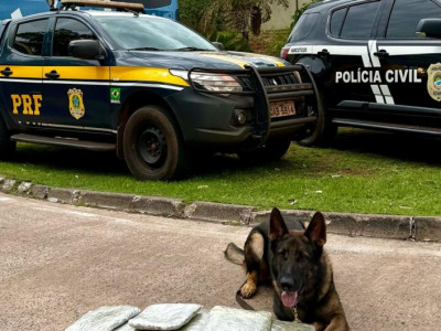 Casal é preso transportando drogas em ônibus clandestino