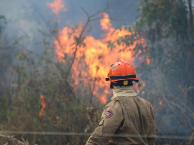Governo decreta emergência ambiental em MS por seis meses