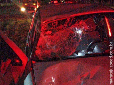 Homem morre atropelado na BR-376 em Deodápolis