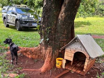Idoso é preso por maus tratos a animais em área rural
