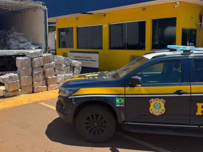 Quase uma tonelada de maconha é apreendida em carga de carne
