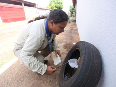 Casos de dengue e Chikungunya aumentam na área rural de MS