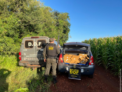 DOF apreende mais de 1,3 tonelada de drogas em Dourados