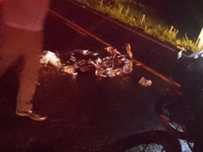 Garupa de moto morre após piloto atropelar capivara na MS-450
