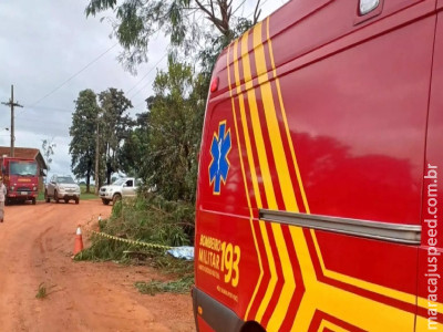 Homem morre eletrocutado enquanto cortava árvore em MS