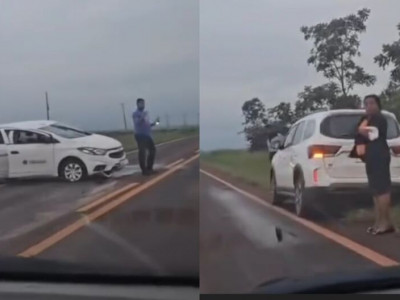 Motorista atropela anta na BR-060, em Sidrolândia