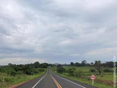 Motorista morre em grave acidente na MS-384, em Antônio João