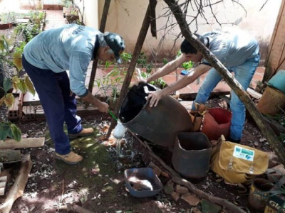 MS registra nove mortes por dengue e duas por chikungunya