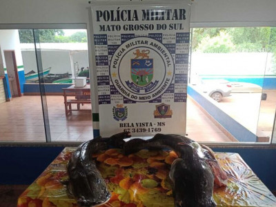 Pescado é apreendido e homens multados por pesca irregular
