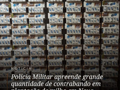 Polícia apreende carga de contrabando em plantação de milho