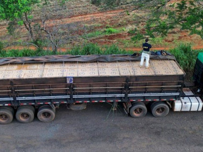  PRF apreende 400 mil maços de cigarros em Nova Andradina (MS)