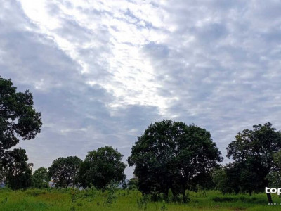 Semana começa amena, mas esquenta ao longo desta segunda em MS