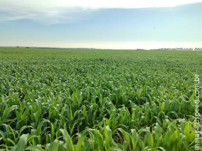 Alerta meteorológico pede atenção aos agricultores do Estado