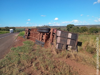 Carreta carregada de gado tomba na BR-267, em Nova Andradina