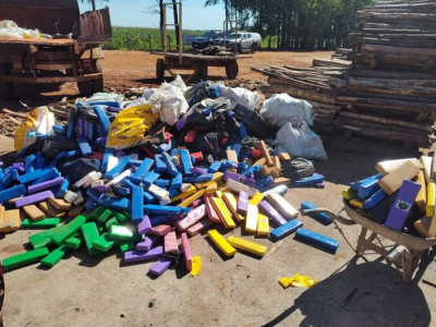 Mais de duas toneladas de maconha são incineradas em Vicentina