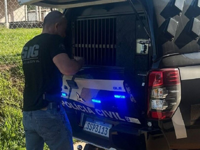 Mulher que ajudou filho a estuprar idosa é presa em Ivinhema