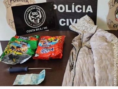 Autor de furto em estabelecimento comercial é preso