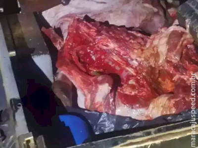 Suspeitos de furto de gado morrem em confronto com a polícia