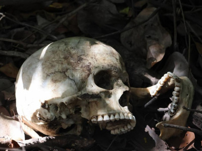 Campo Grande: Motorista encontra crânio às margens da BR-262