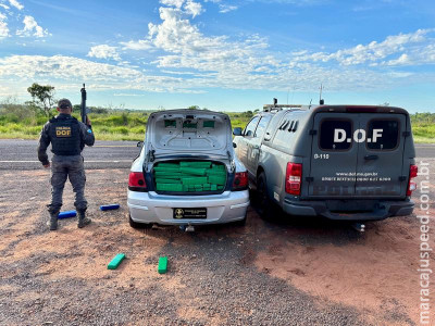 DOF apreende mais de meia tonelada de drogas em Paranhos