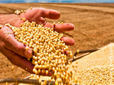  Mercado da soja inicia a semana com viés de alta