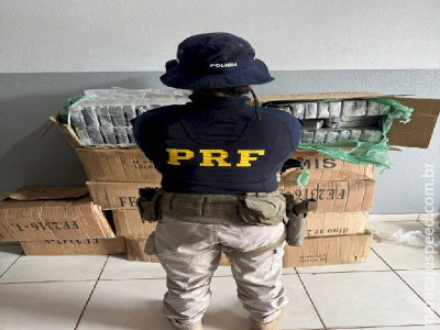 PRF e Denar apreendem 332 Kg de cocaína em Campo Grande (MS) 