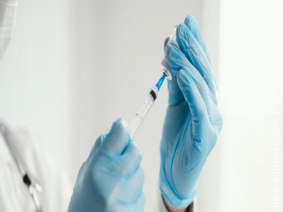 Vacina da dengue está muito perto de ser liberada