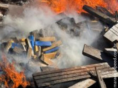 4,5 toneladas de maconha são incineradas em Bela Vista