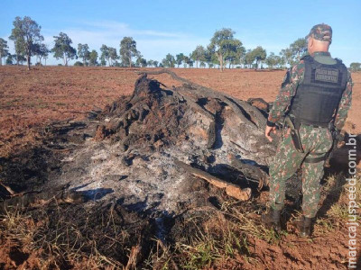 PMA autua responsável por queimada irregular durante operação 