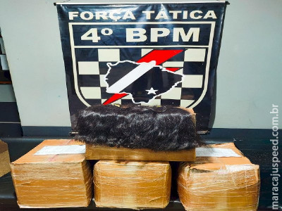 Quase 200 quilos de cabelo humano são apreendidos em MS