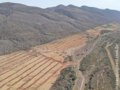 Desmatamento no Pantanal reduz 65%, segundo Inpe