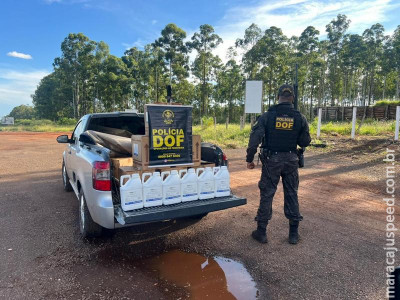 DOF apreende 250 litros de agrotóxicos em Ponta Porã