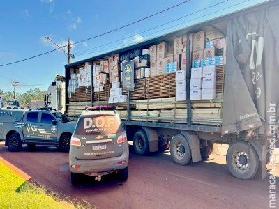 DOF apreende cigarros e agrotóxicos em meio a carga de madeira