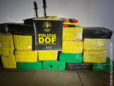 DOF apreende quase meia tonelada de droga em Naviraí
