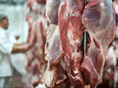 Frigoríficos buscam saídas para cota da China para carne