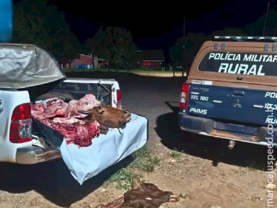 Funcionário é preso por furtar gado e vender em outra fazenda 