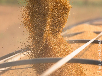  Mercado projeta soja pressionada em 2026